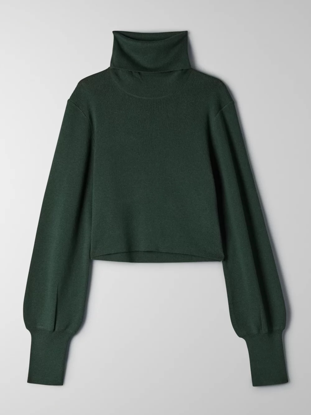 Aritzia Wilfred Rebecca Wool Cotton Cropped Knit Turtleneck Sweater in Scarab - Picture 1 of 12